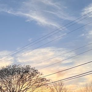 Meet your Posher, Layla